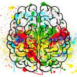 brain-2062048_1280