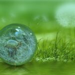 ball-4220328_640